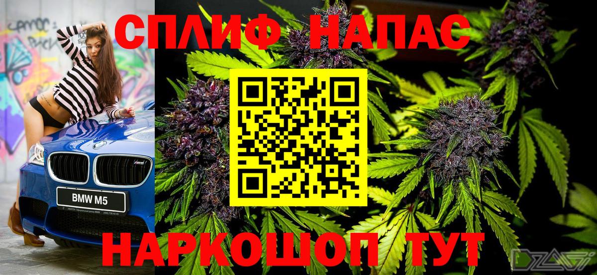 Каннабис тримм  Вход с VPN  Кудымкар  Конопля план 